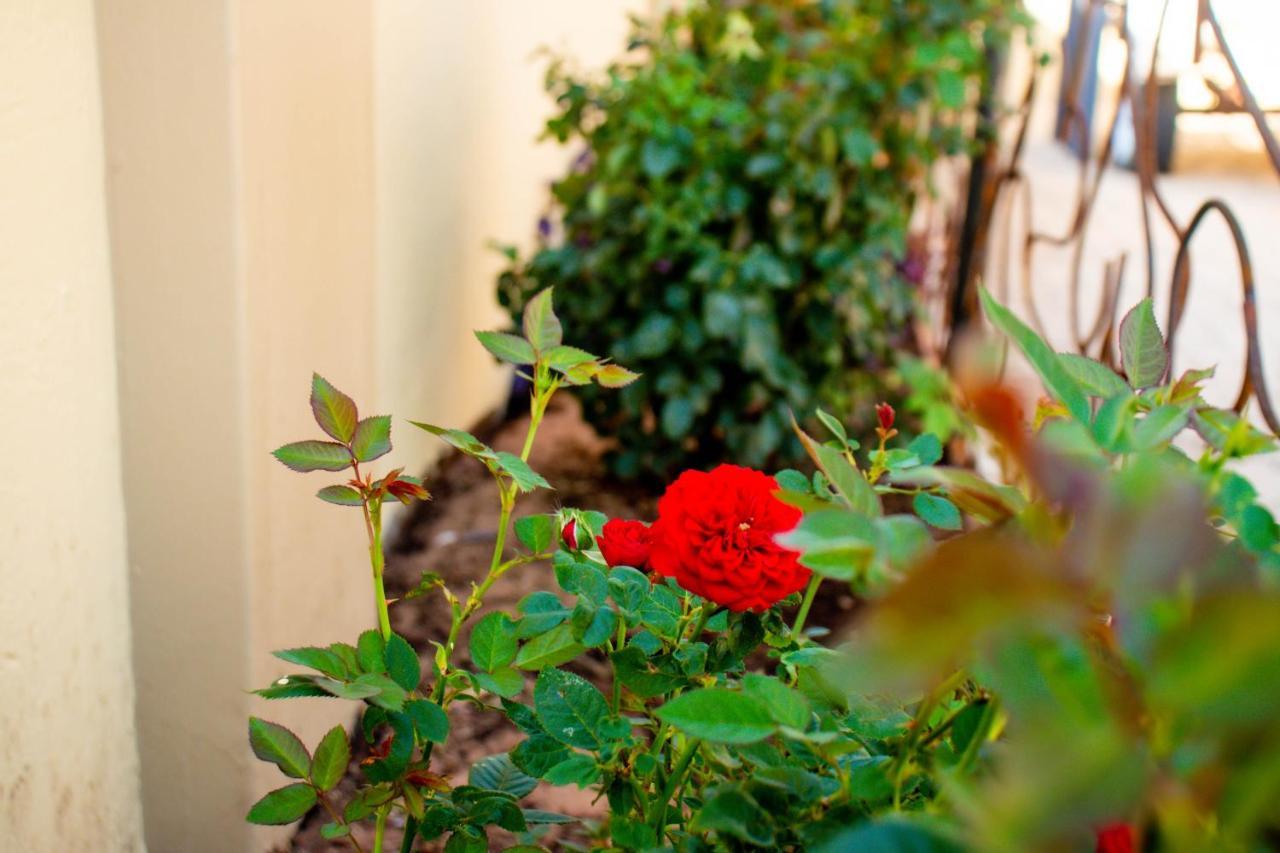 Home@Amalia'S روندو المظهر الخارجي الصورة